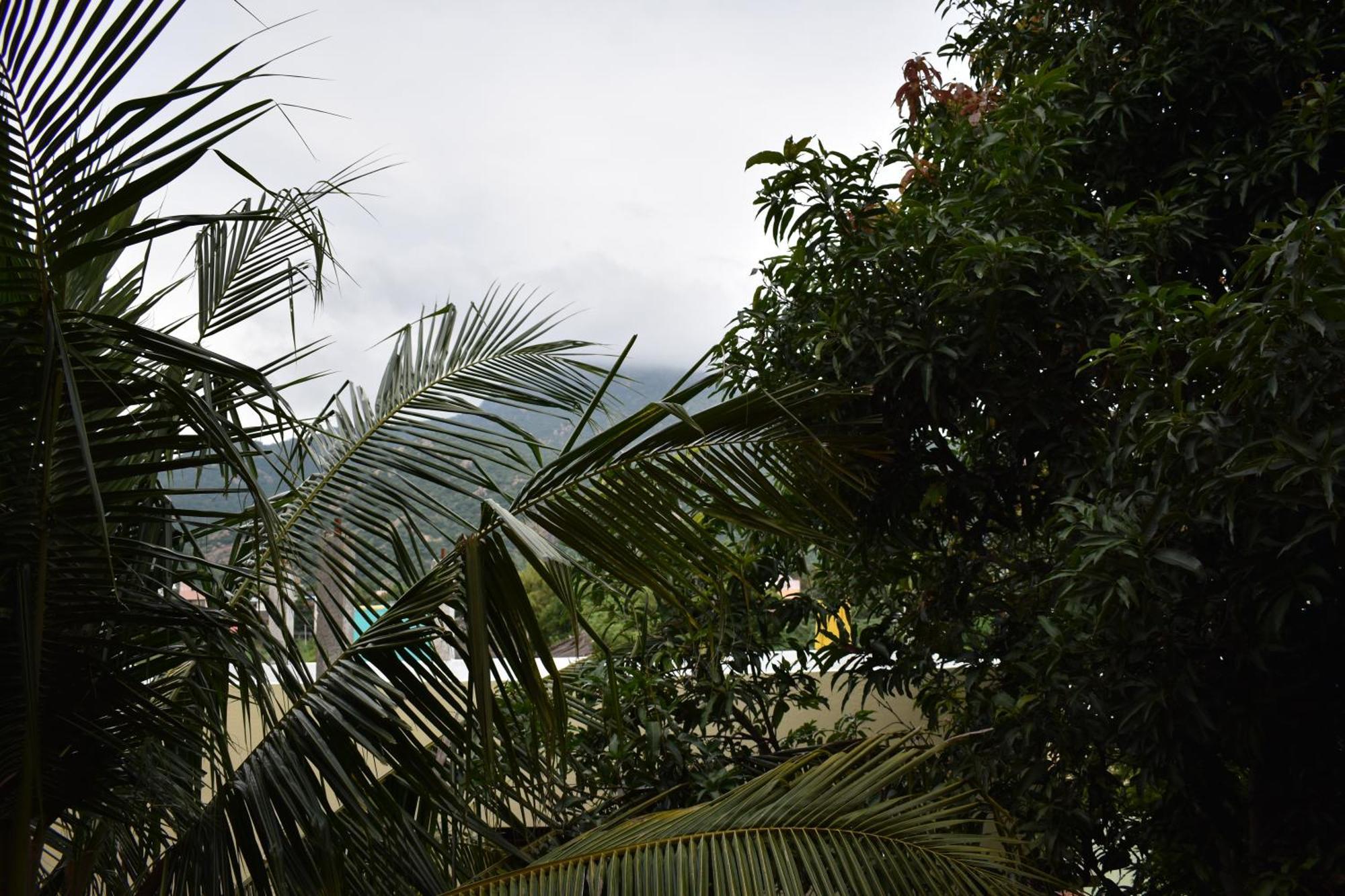 Rainbow Guest House Tiruvannāmalai Exterior photo