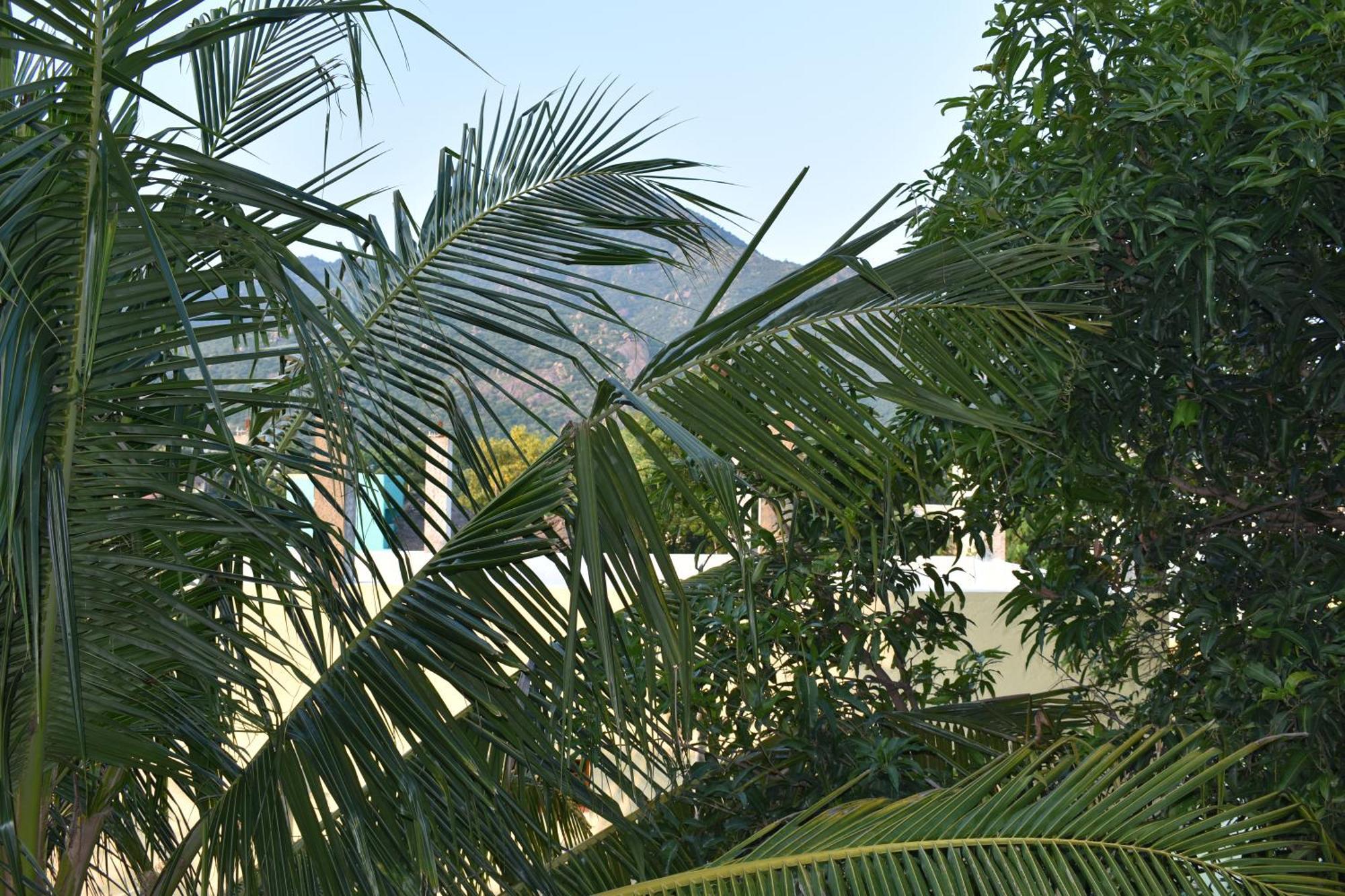 Rainbow Guest House Tiruvannāmalai Exterior photo